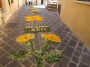 infiorata (34)